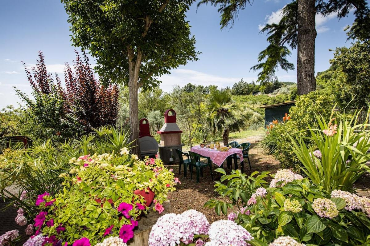 Casa Damiano Holiday home Chianni