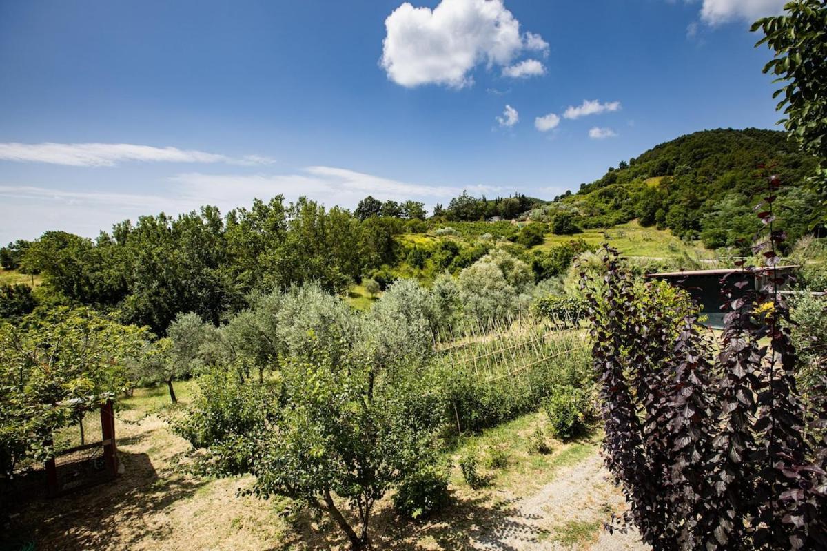 Casa Damiano * Chianni